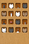 Wallpaper Cat Cardboard