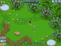 Mushroom Madness 3